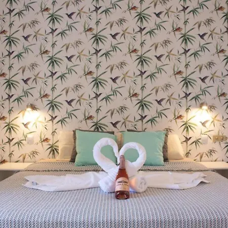 Dreams Studio Paraiso Del Sur Apartment